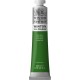 WINTON  TERRE VERTE
